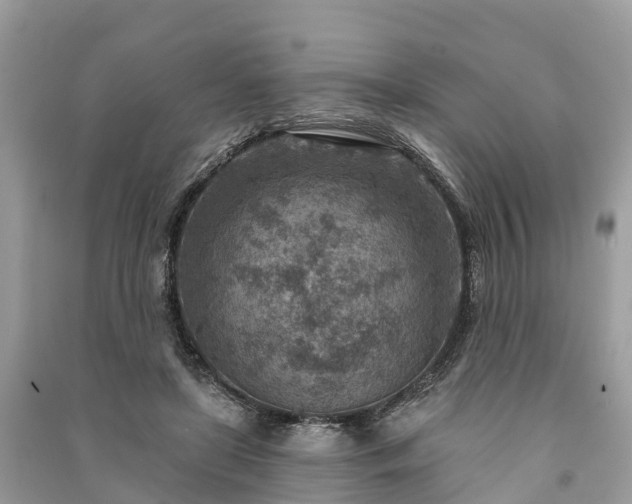 X0000091000451200708091543