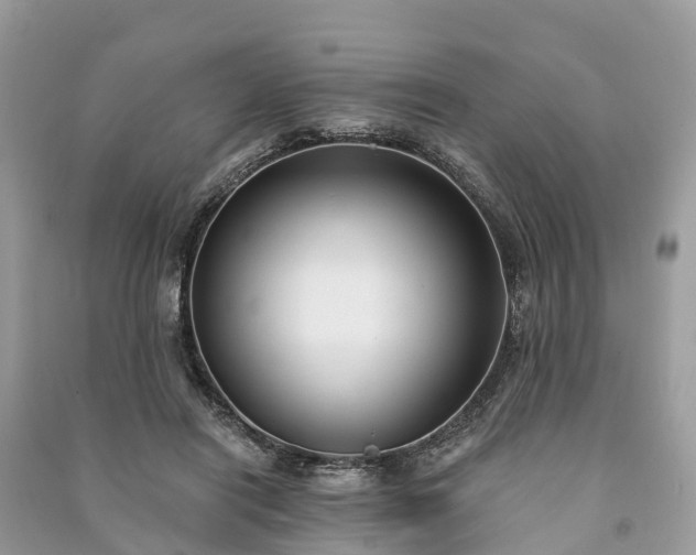 X0000091000454200708091543