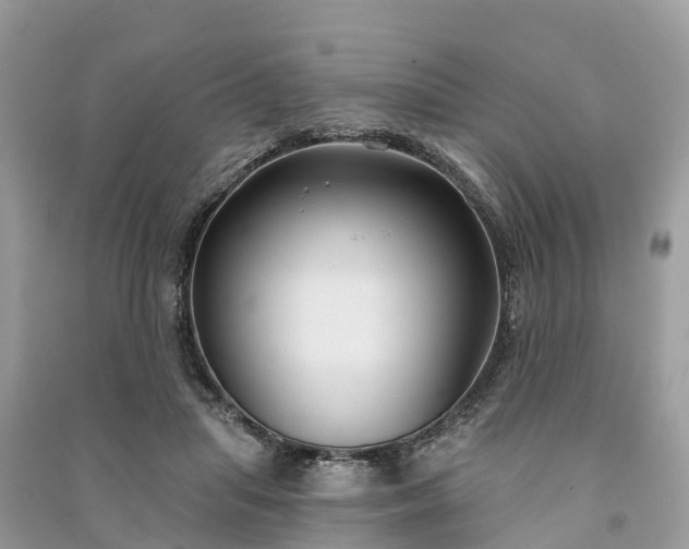 X0000091000455200708091543