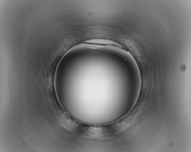 X0000091000457200708091543