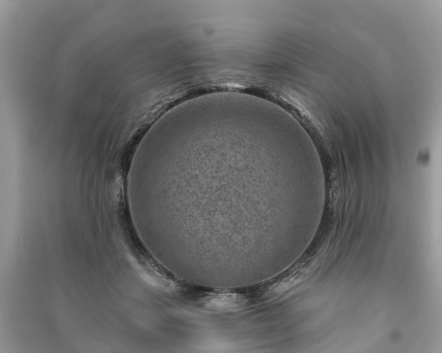 X0000091000459200708091543