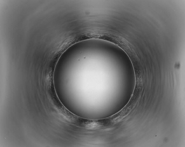X0000091000460200708091543