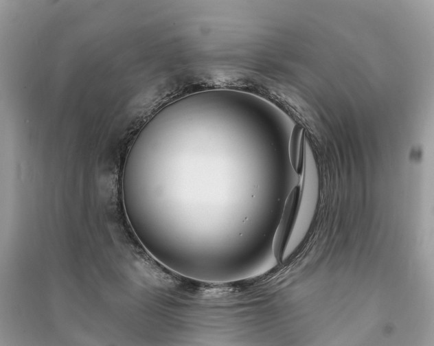 X0000091000461200708091543
