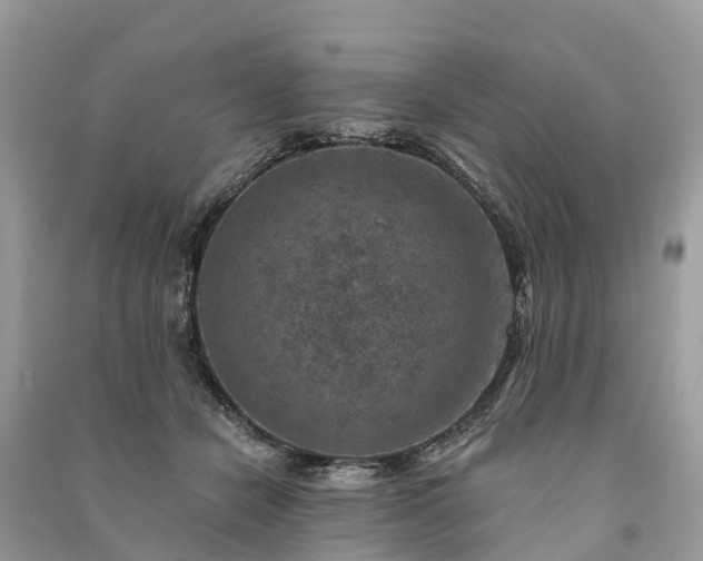 X0000091000462200708091543