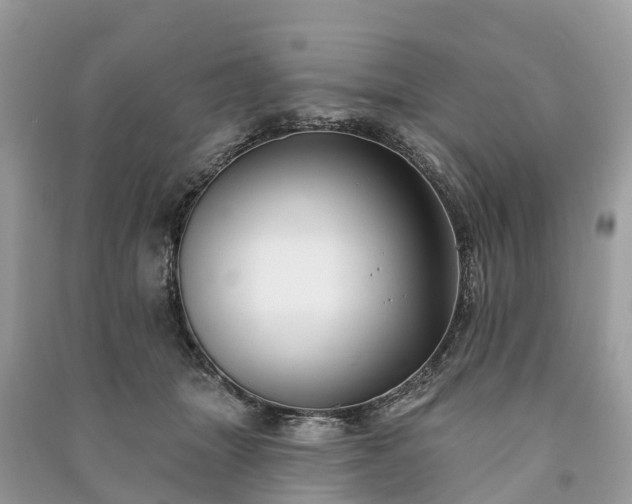 X0000091000463200708091543