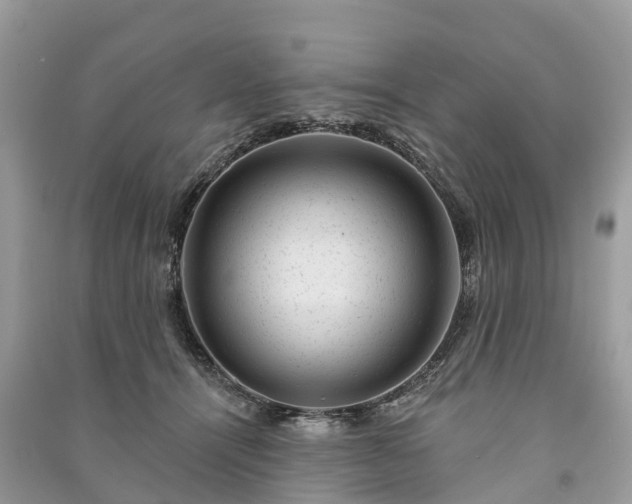 X0000091000464200708091543