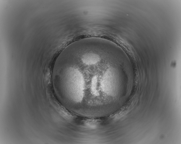 X0000091000465200708091543