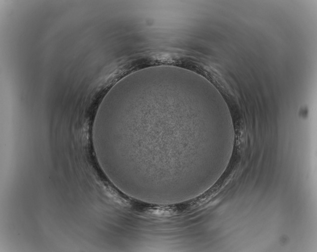 X0000091000466200708091543