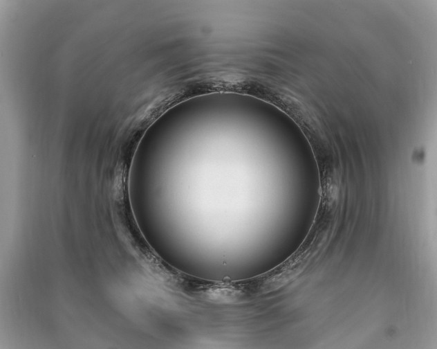 X0000091000468200708091544