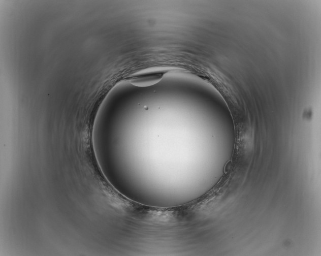 X0000091000469200708091544