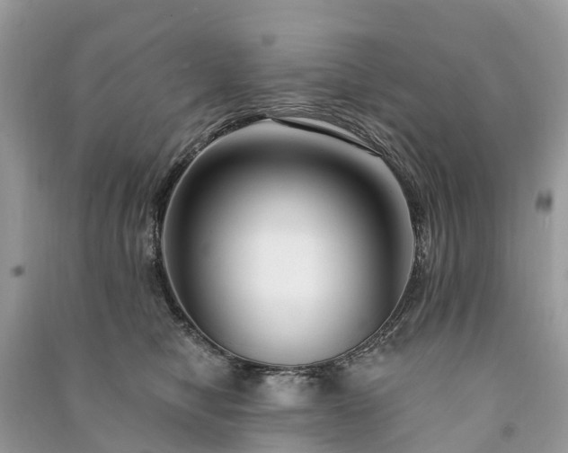 X0000091000470200708091544