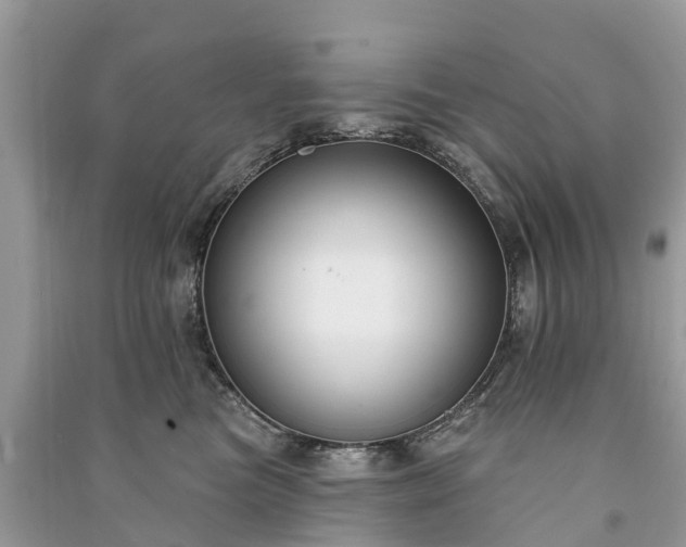 X0000091000473200708091544