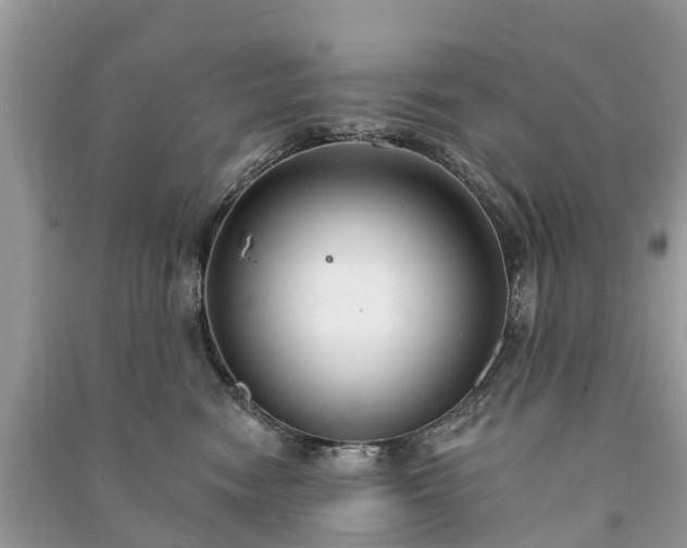 X0000091000474200708091544