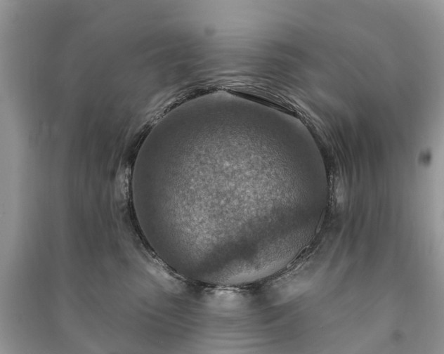 X0000091000475200708091544