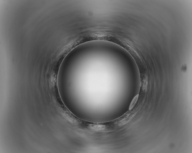X0000091000476200708091544