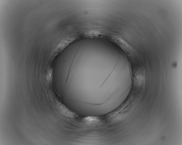 X0000091000477200708091544