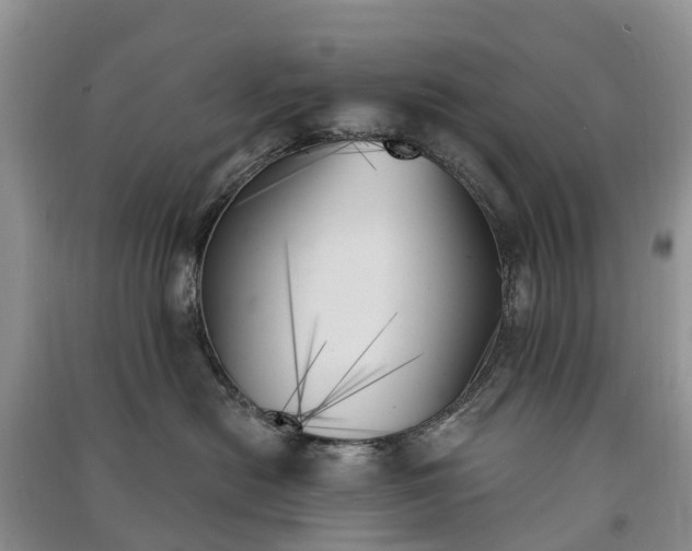 X0000091000478200708091544