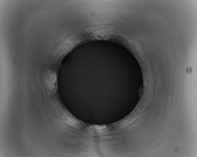 X0000091000480200708091544