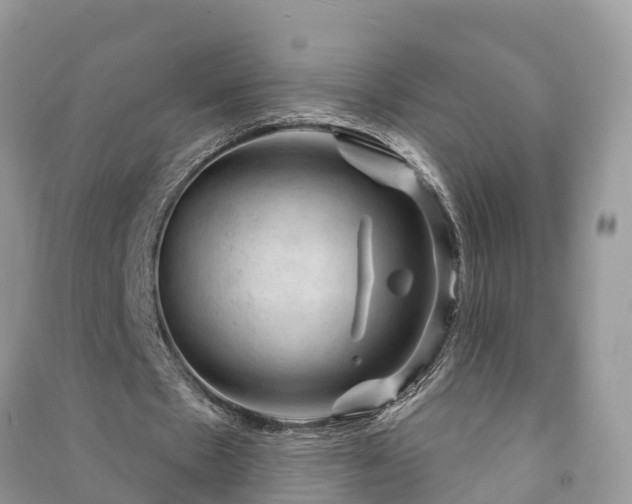 X0000091000481200708091543