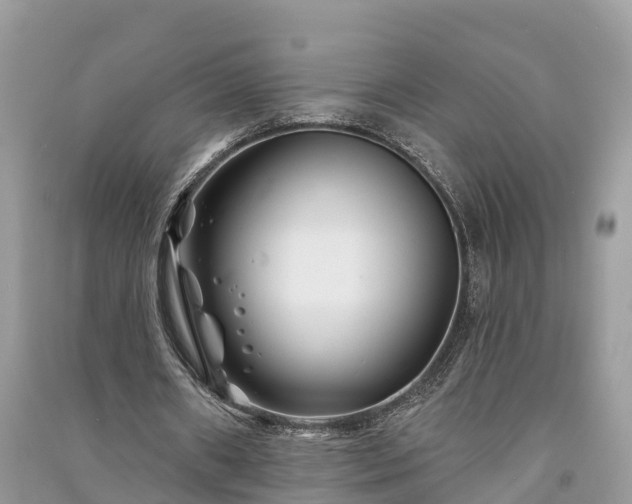 X0000091000482200708091543