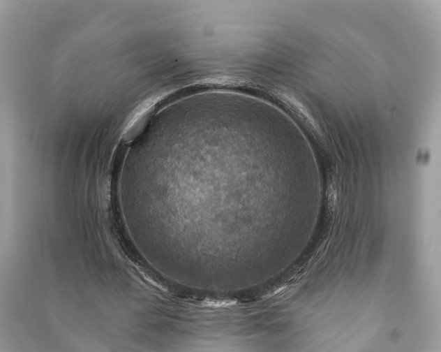 X0000091000484200708091543