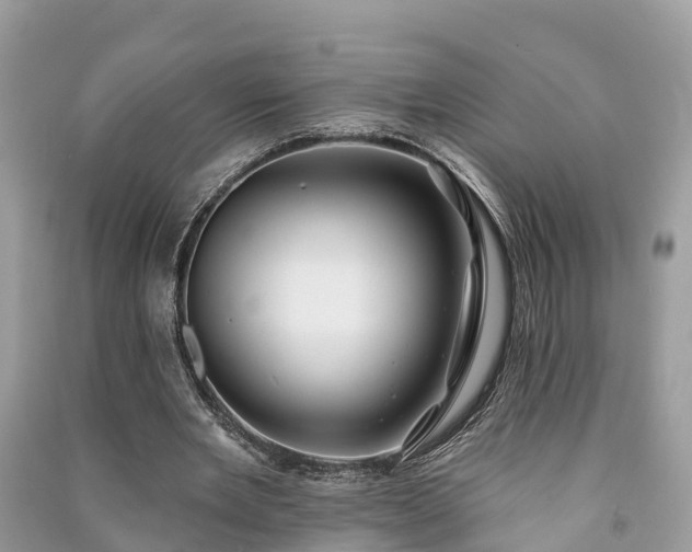 X0000091000485200708091543