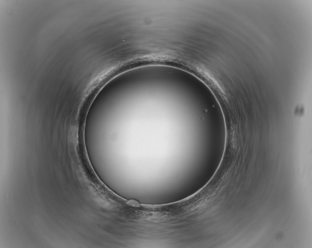 X0000091000486200708091543