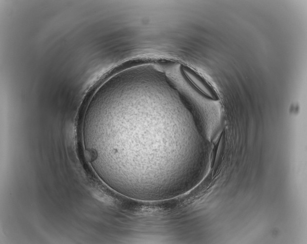 X0000091000487200708091543