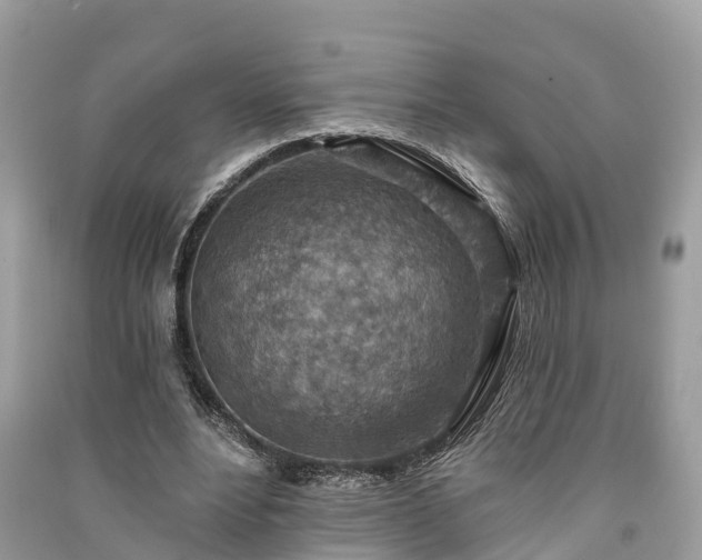 X0000091000488200708091543