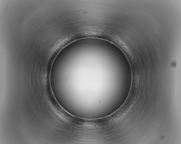 X0000091000490200708091543