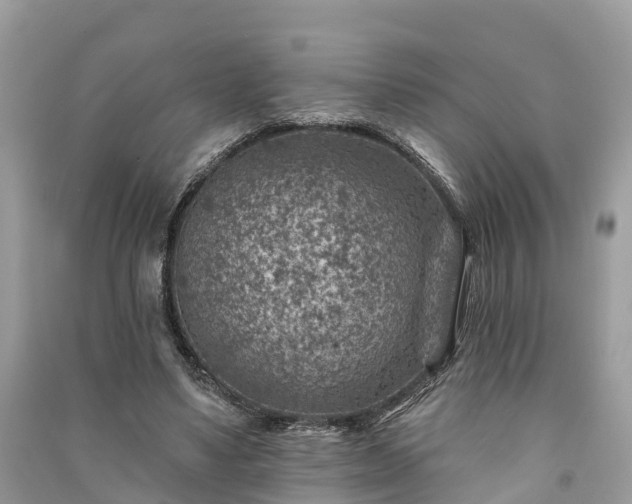 X0000091000491200708091543