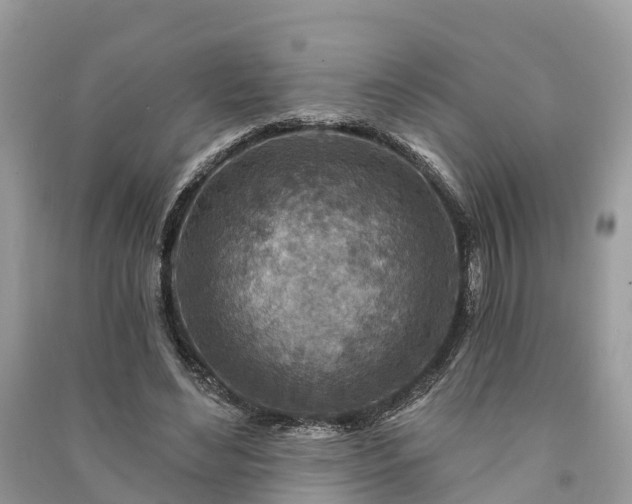 X0000091000492200708091543