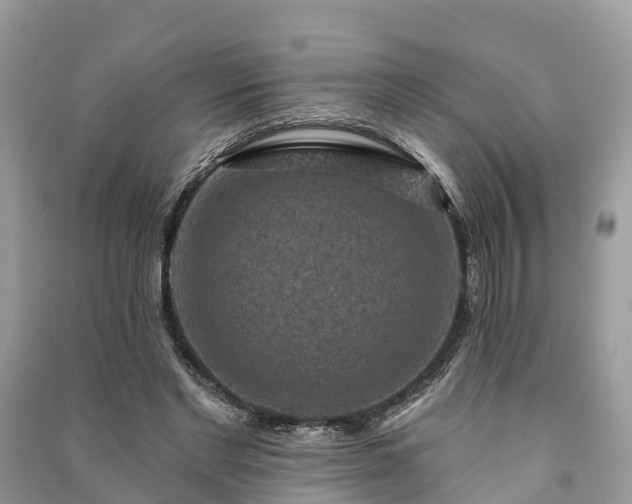 X0000091000493200708091543