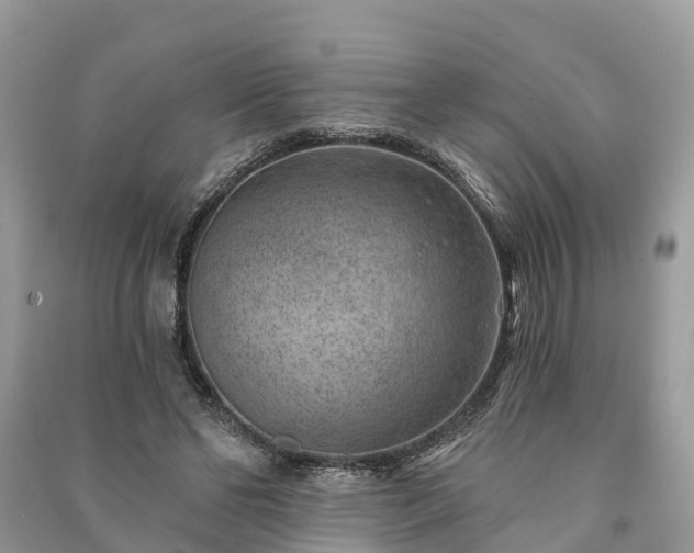 X0000091000494200708091543