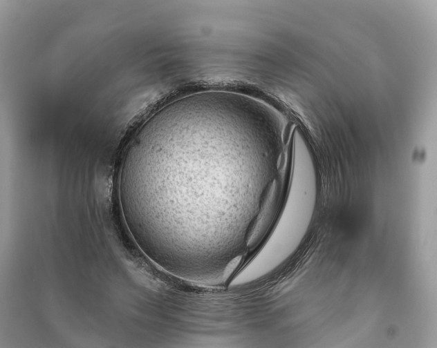 X0000091000495200708091543