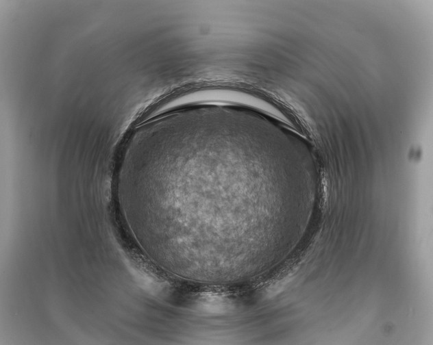 X0000091000496200708091543