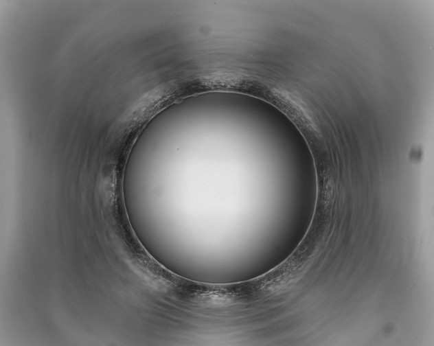 X0000091000498200708091543