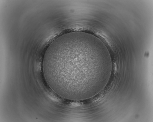 X0000091000499200708091543