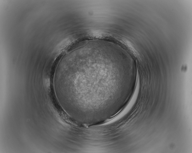 X0000091000500200708091543