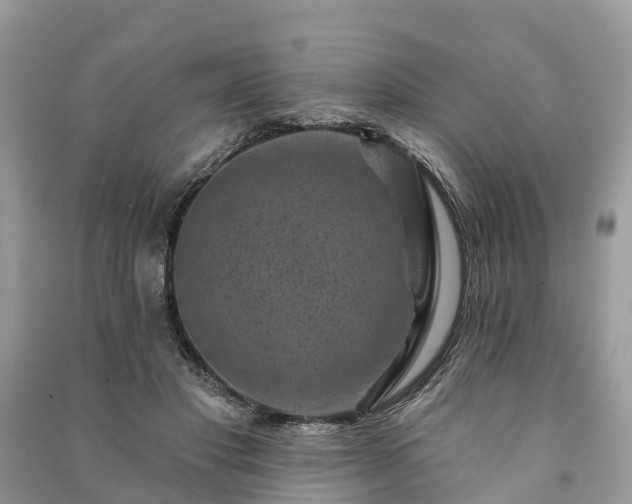 X0000091000501200708091543