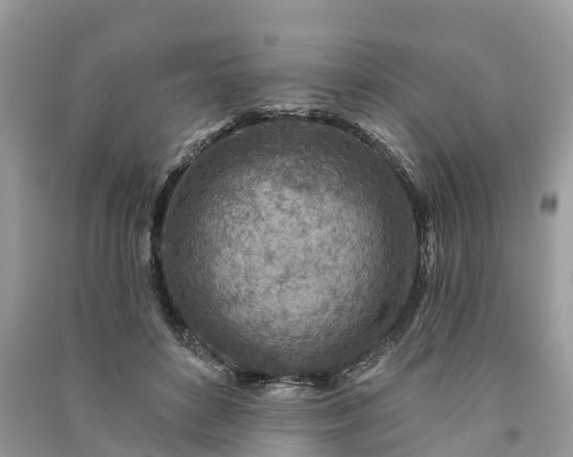 X0000091000504200708091543