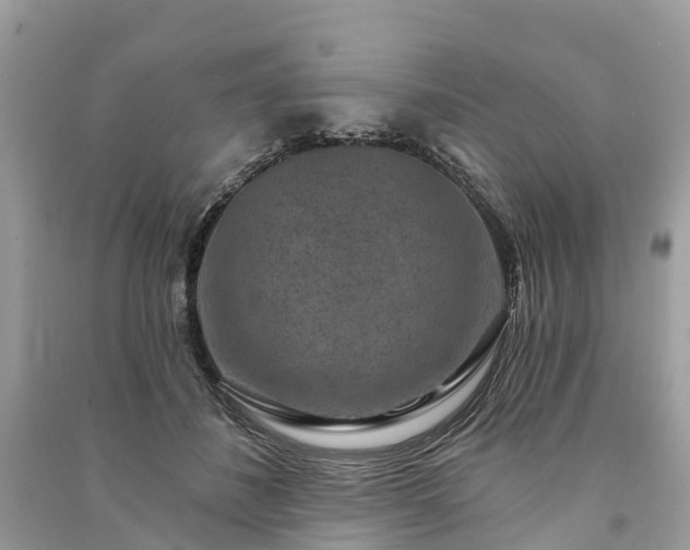 X0000091000508200708091543