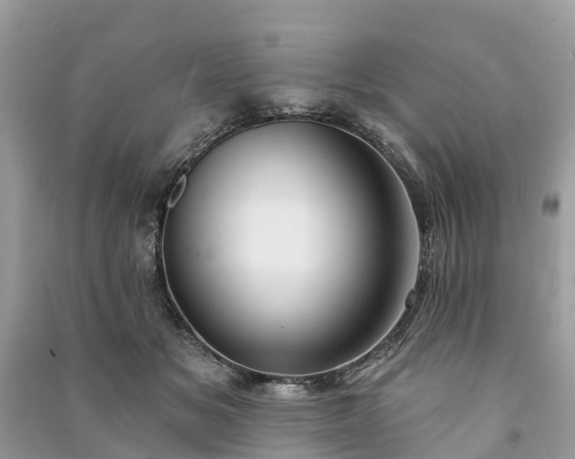 X0000091000509200708091543