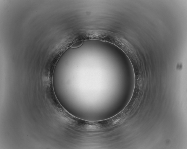 X0000091000510200708091543
