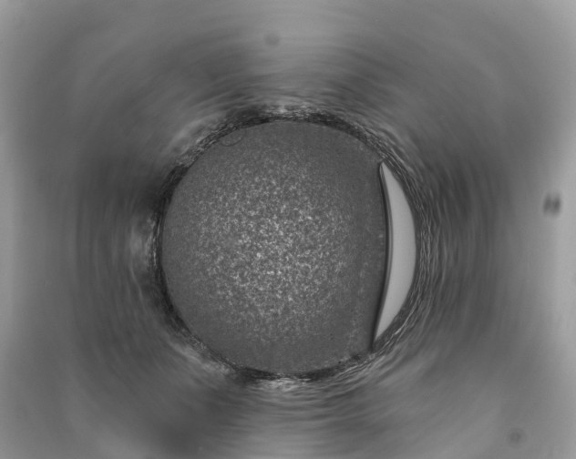 X0000091000511200708091543