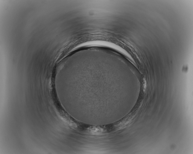 X0000091000512200708091543