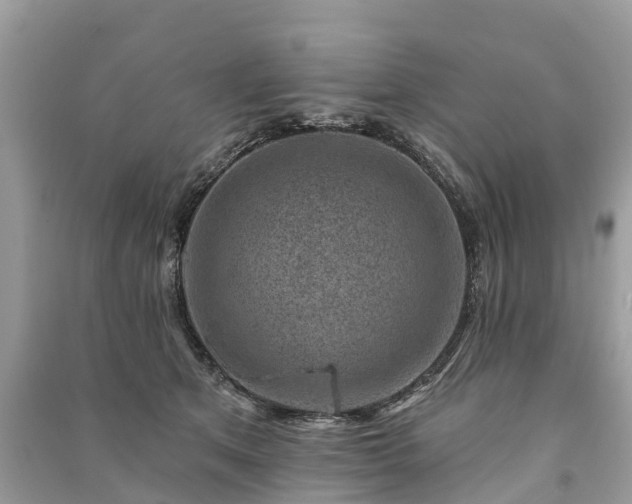 X0000091000513200708091543