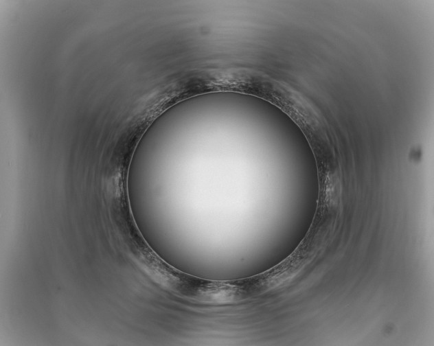 X0000091000514200708091543
