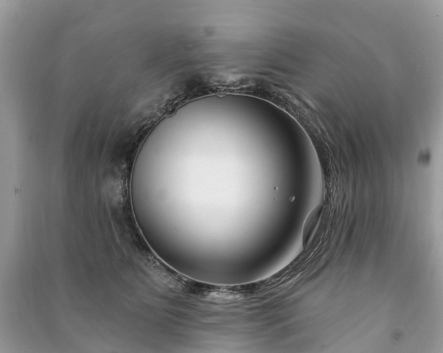 X0000091000515200708091543