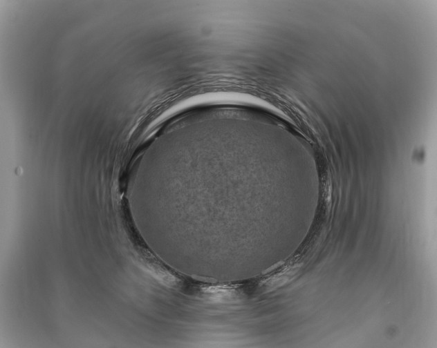 X0000091000516200708091543